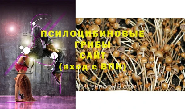 твердый Лабытнанги