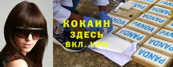 твердый Лабытнанги