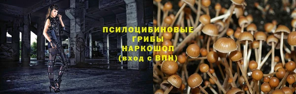 твердый Лабытнанги