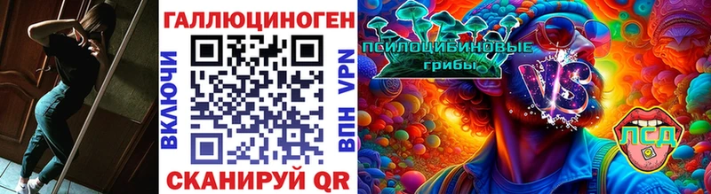купить  цена  mega ссылки  Галлюциногенные грибы MAGIC MUSHROOMS  Москва 
