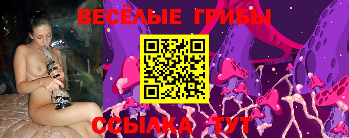 Галлюциногенные грибы GOLDEN TEACHER Москва