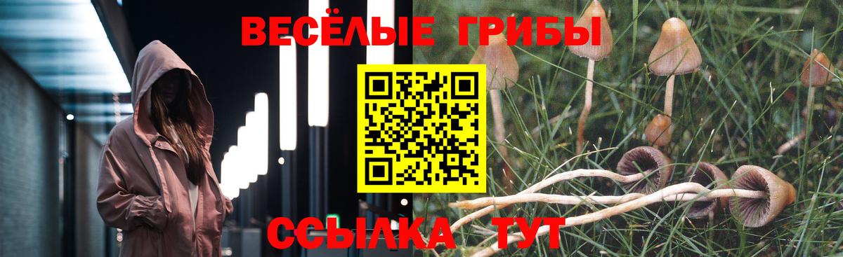 Москва  Псилоцибиновые грибы прущие грибы  купить закладку  Псилоцибиновые грибы прущие грибы  Вход с VPN 