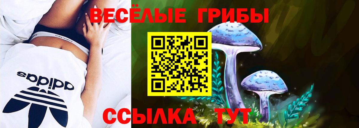 Галлюциногенные грибы Psilocybe Москва